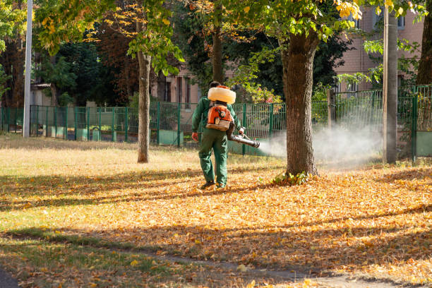 Best Insect Control  in Clarkston, GA